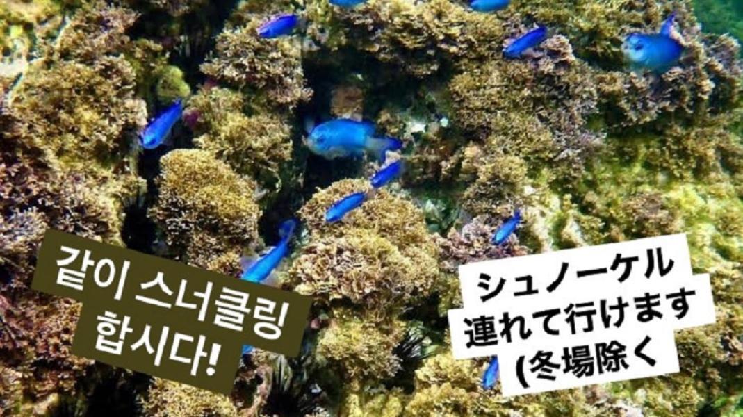 镰仓市 由比滨海滩旅馆酒店 外观 照片