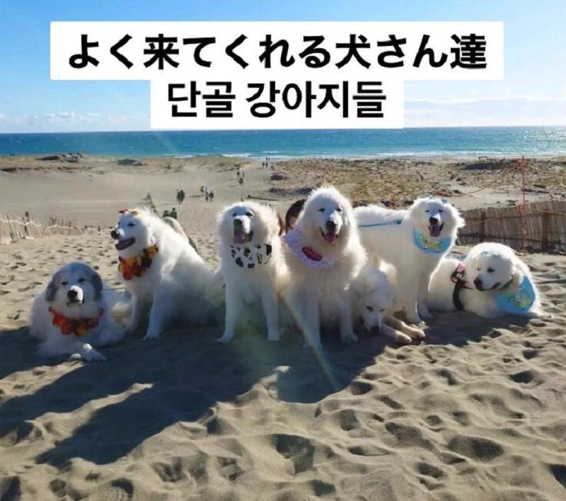 镰仓市 由比滨海滩旅馆酒店 外观 照片